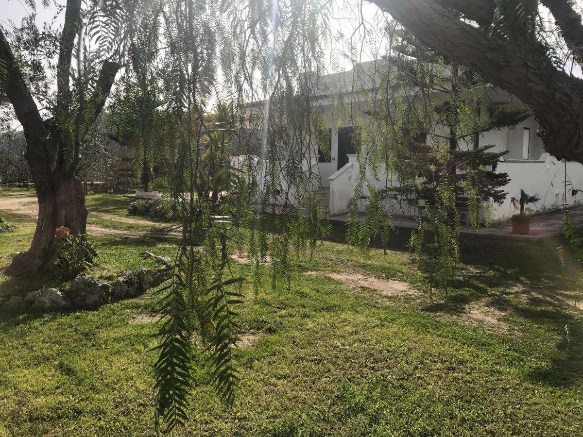 ויאסטה Villa Angela Case Vacanza מראה חיצוני תמונה