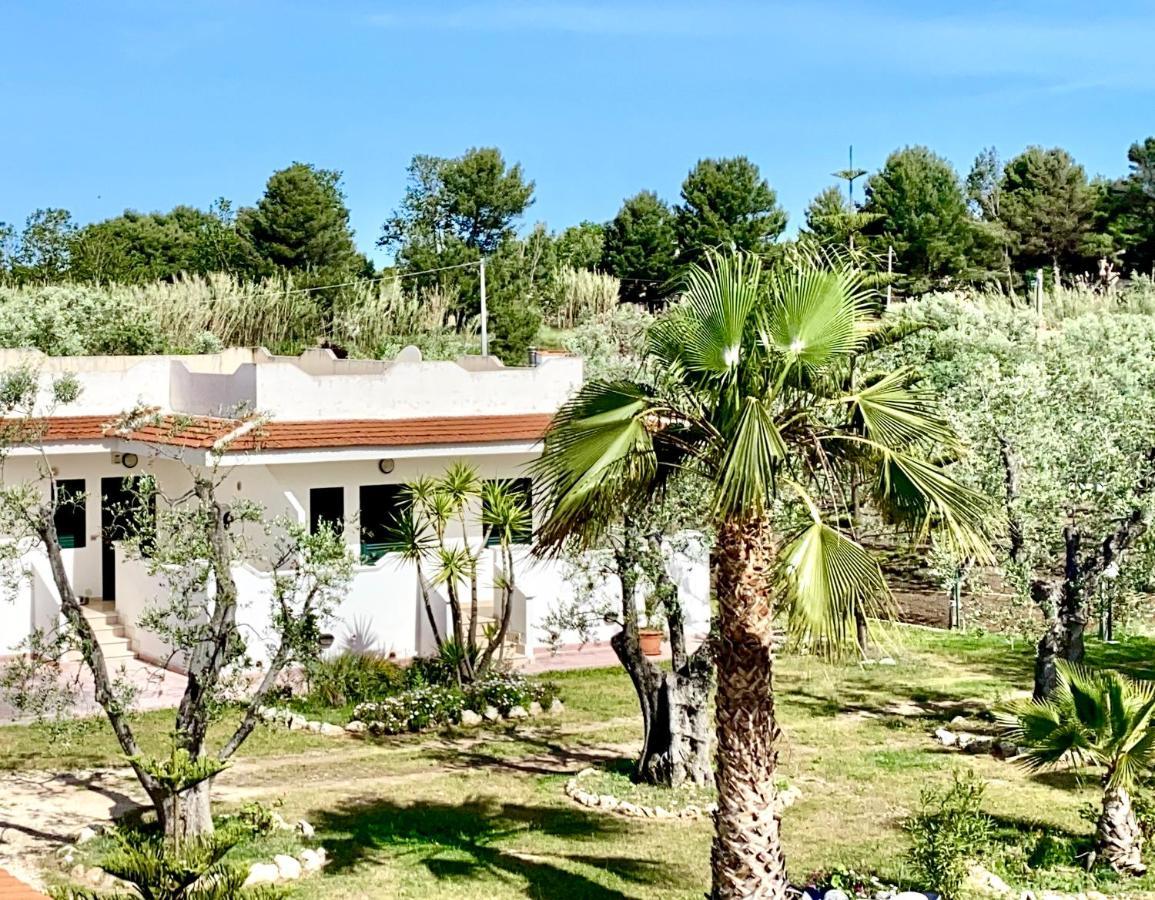 ויאסטה Villa Angela Case Vacanza מראה חיצוני תמונה