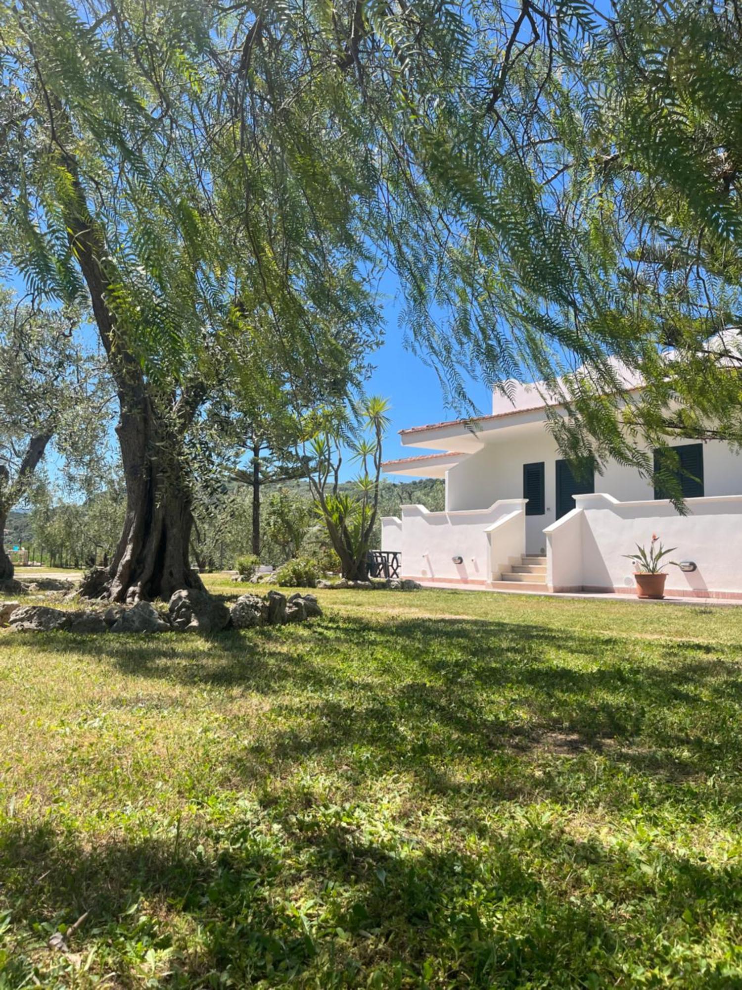 ויאסטה Villa Angela Case Vacanza מראה חיצוני תמונה